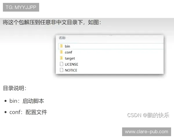 掌握inbet注册登录入口操作技巧，提升账号管理与使用效率