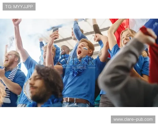 盈球体育：用户体验优化策略提升体育信息服务的专业水平