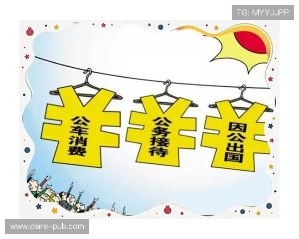 网上三公：利用互联网技术提升公务消费透明度的创新方案探讨