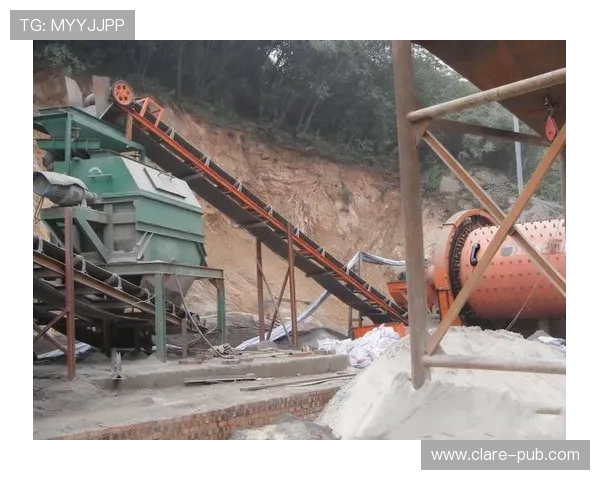 新利国际：丰富的赛事和体育竞猜项目满足不同玩家的多样化需求